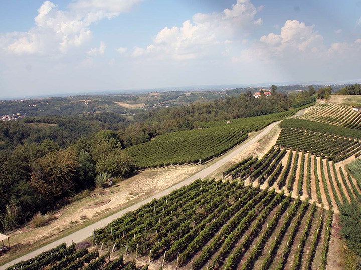 Piemonte Wine Pairing Dinner with Gradwell Wines