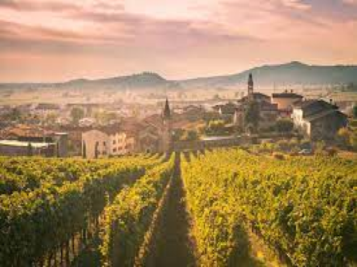 Wines of Veneto Tasting by Cottonwood Agency